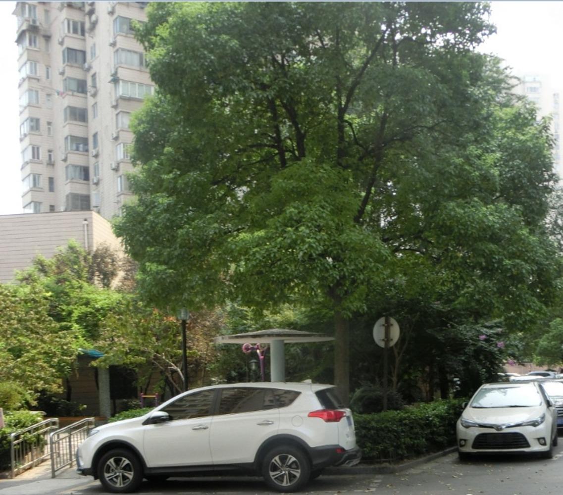 上海华山花苑二手房房源图片
