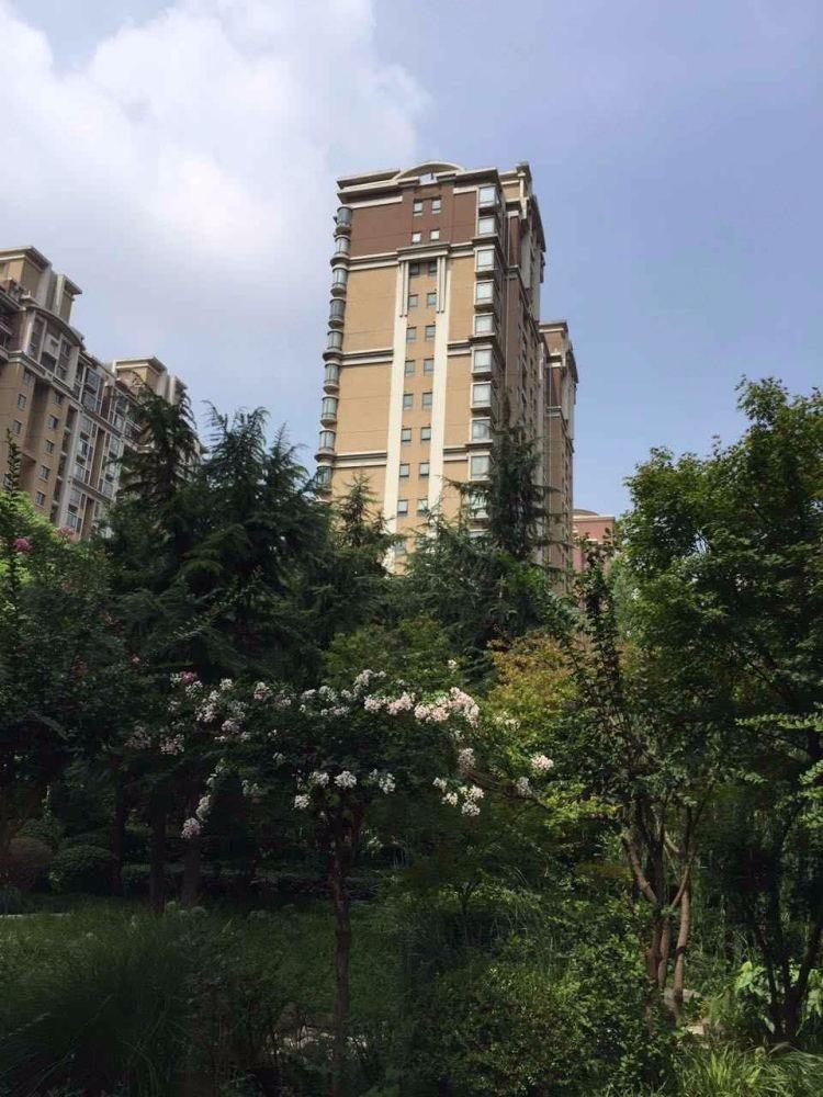上海金色贝拉维二手房房源图片