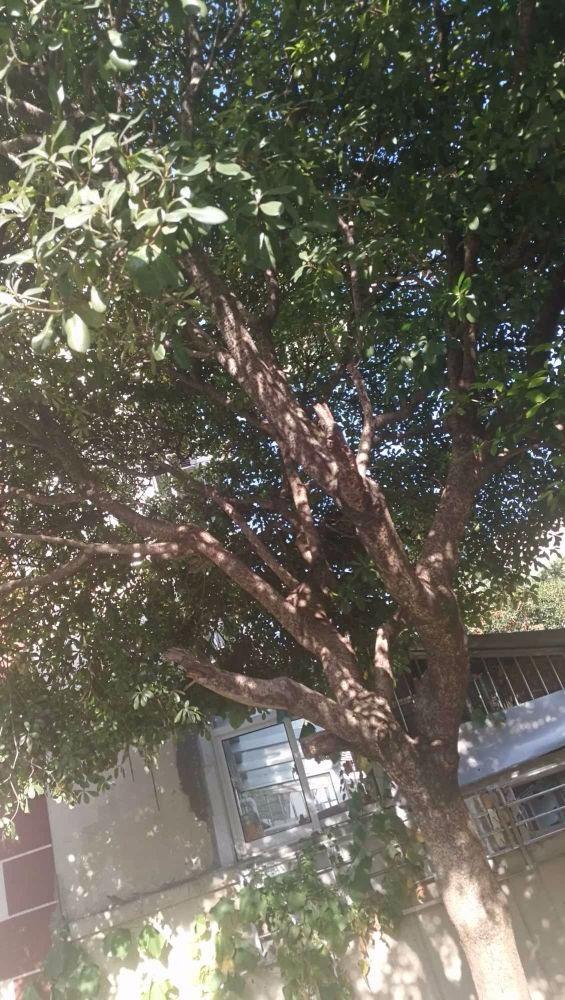 上海梅陇二村二手房房源图片