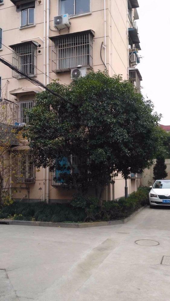 上海紫藤一村二手房房源图片
