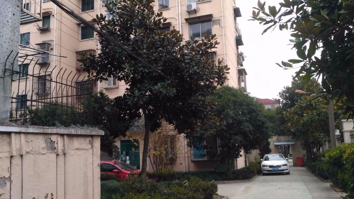 上海紫藤一村二手房房源图片