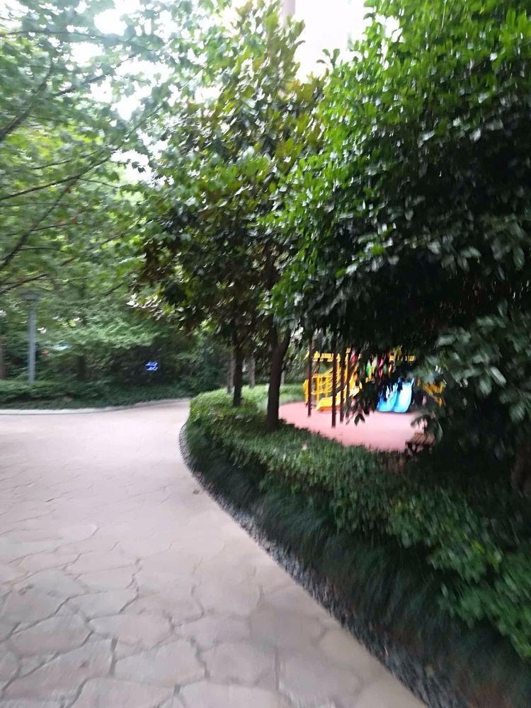 上海卓悦居一期二手房房源图片