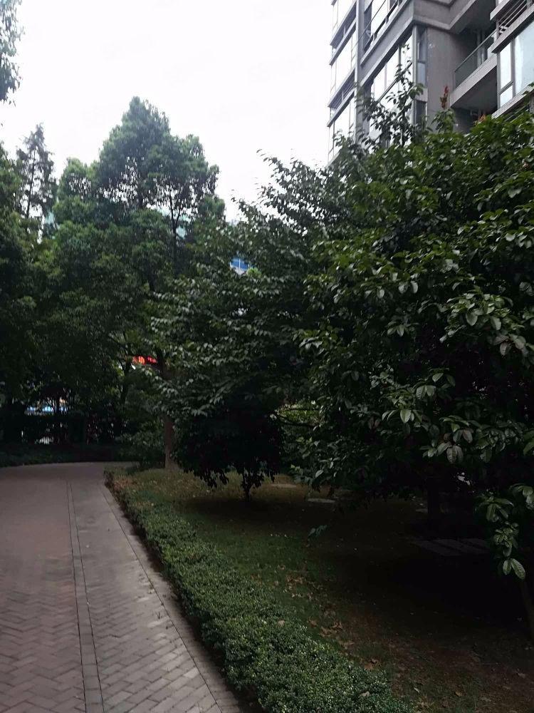 上海卓悦居一期二手房房源图片