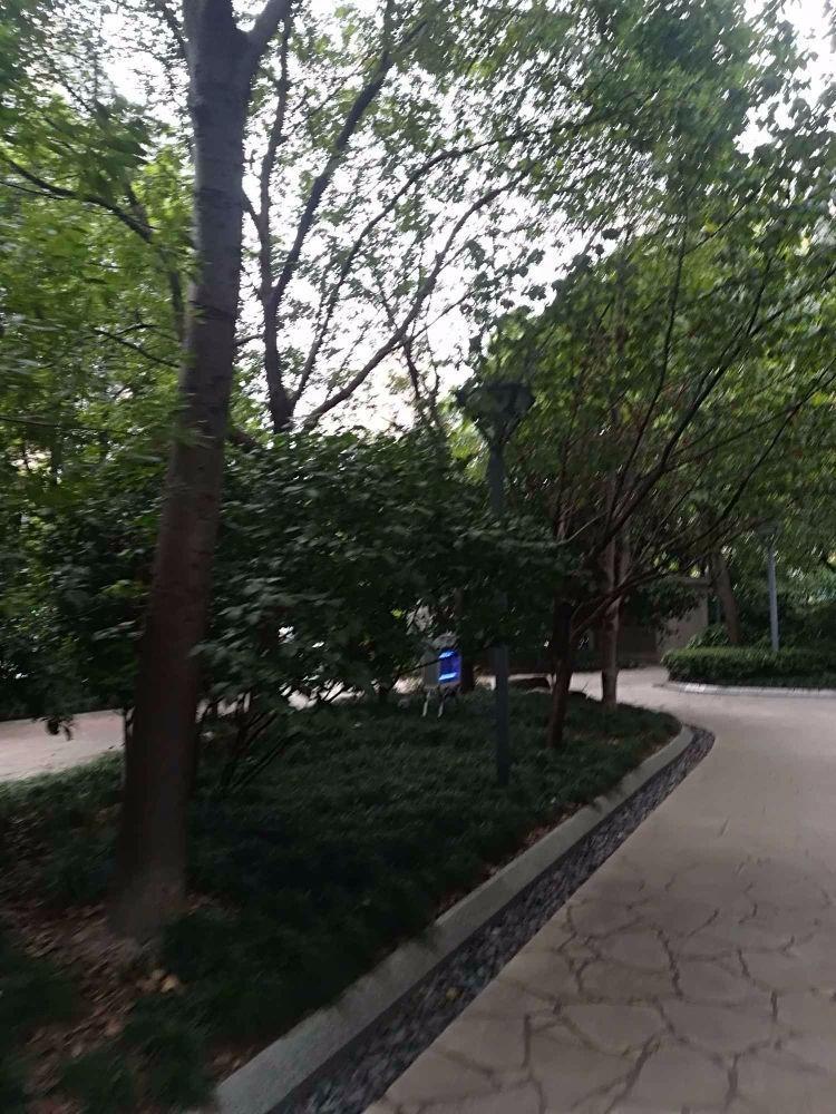 上海卓悦居一期二手房房源图片