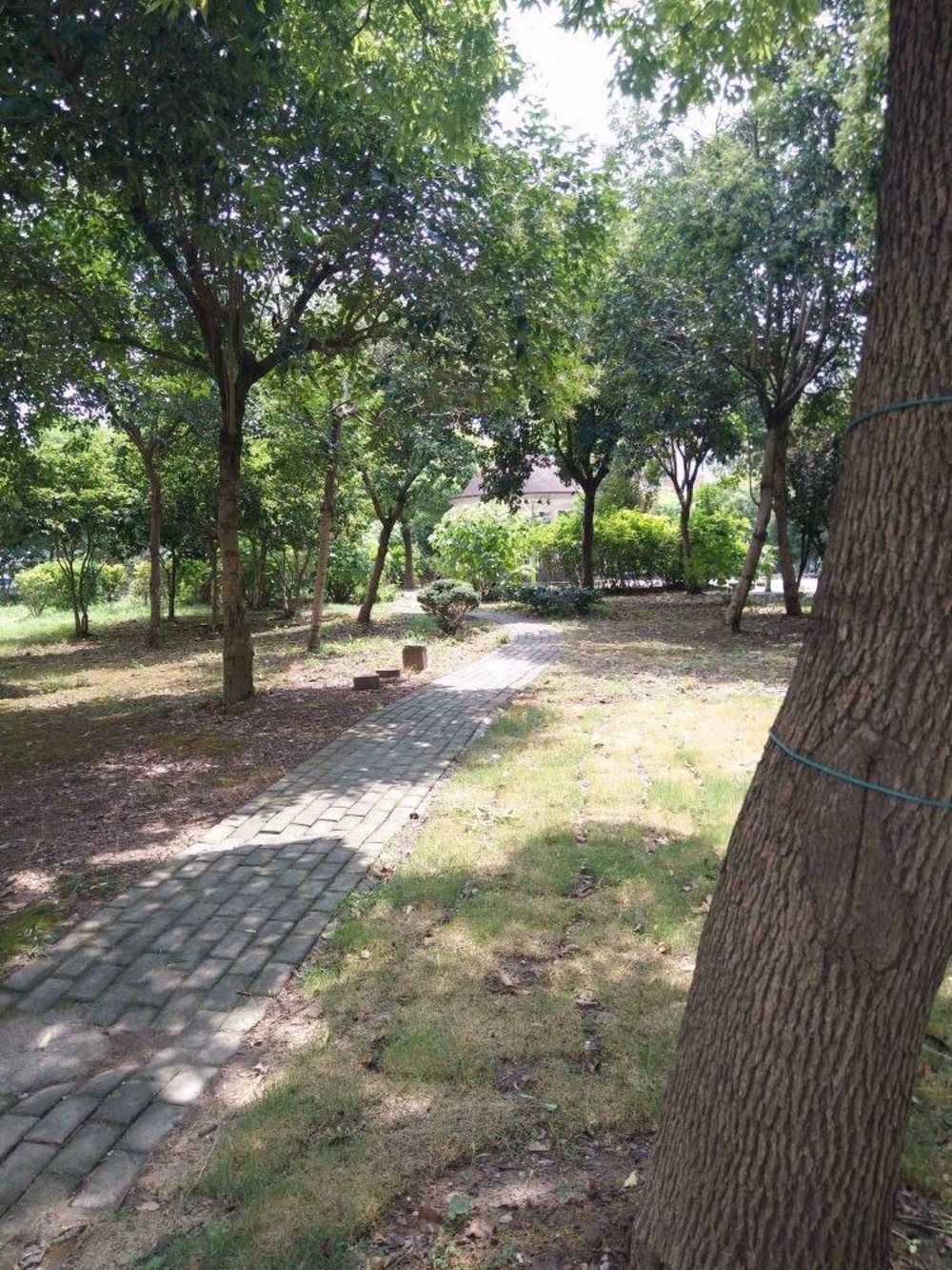 上海绿海家园二手房房源图片