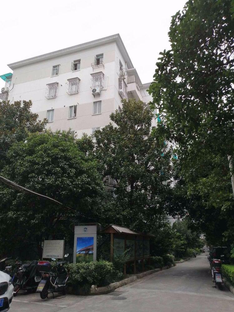 上海北京东路335,345,355号小区二手房房源图片