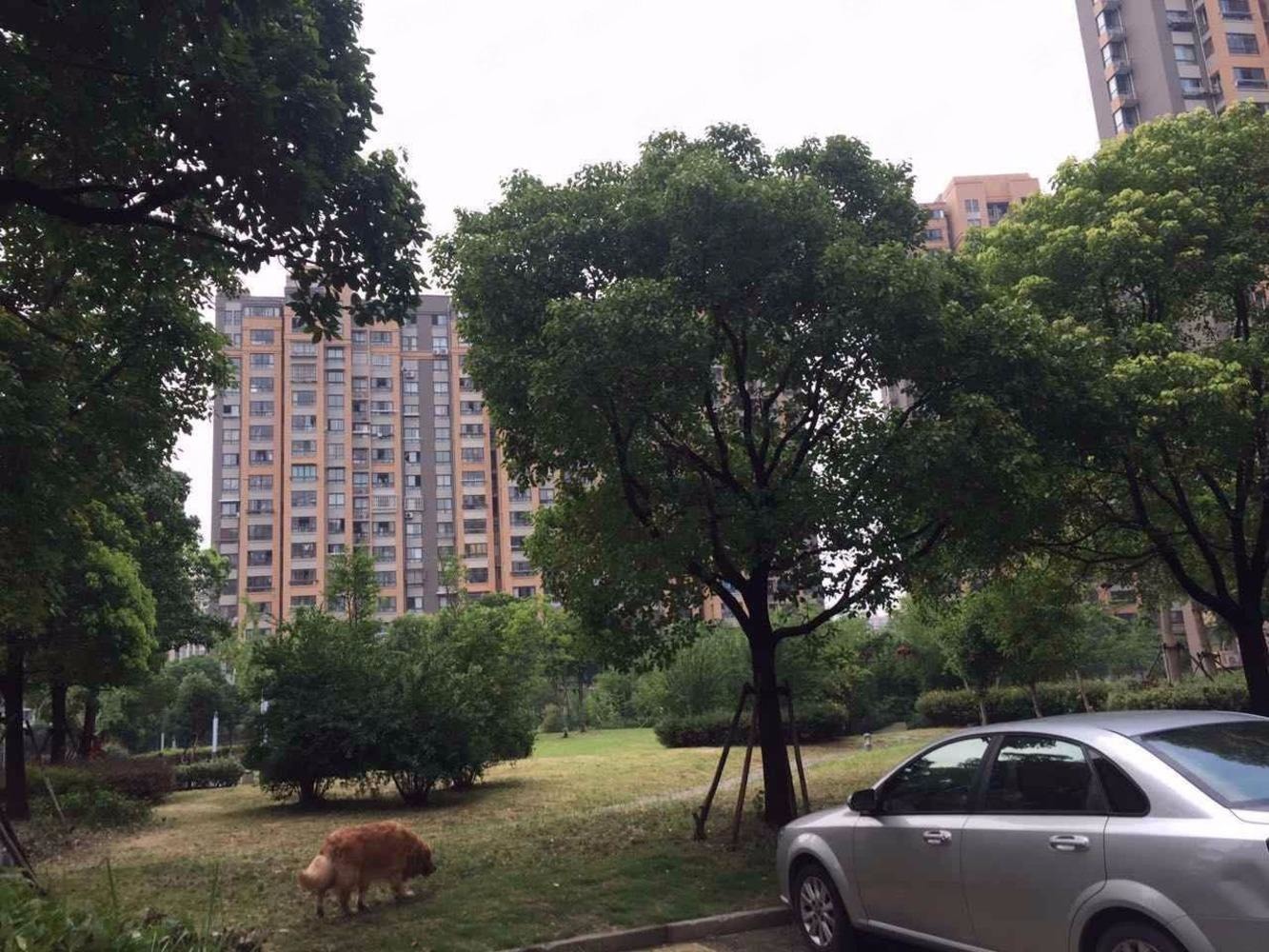 上海星颂家园二手房房源图片