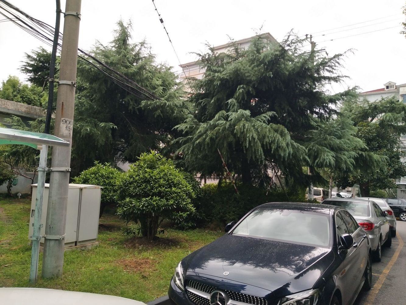 上海古美八村二手房房源图片