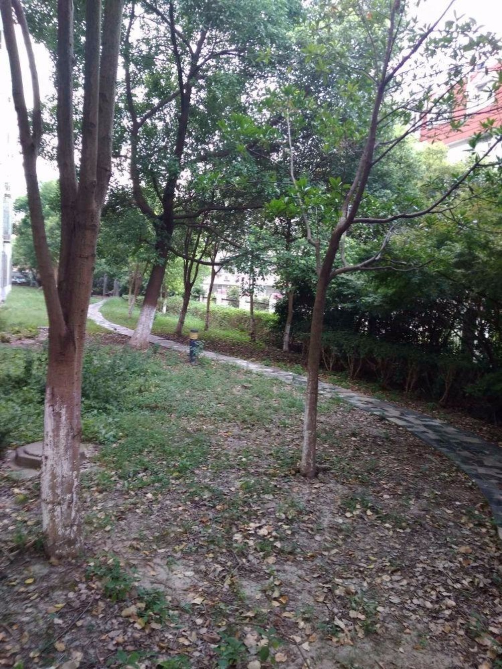 上海界龙阳光苑(东区)二手房房源图片