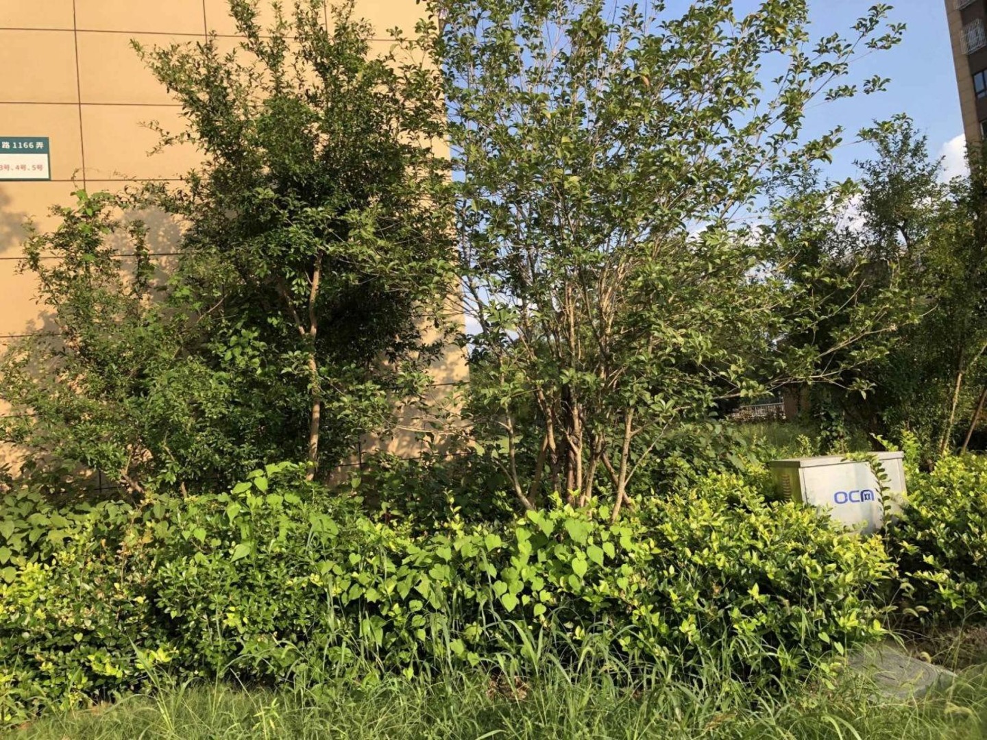 上海中山茸惠苑二手房房源图片