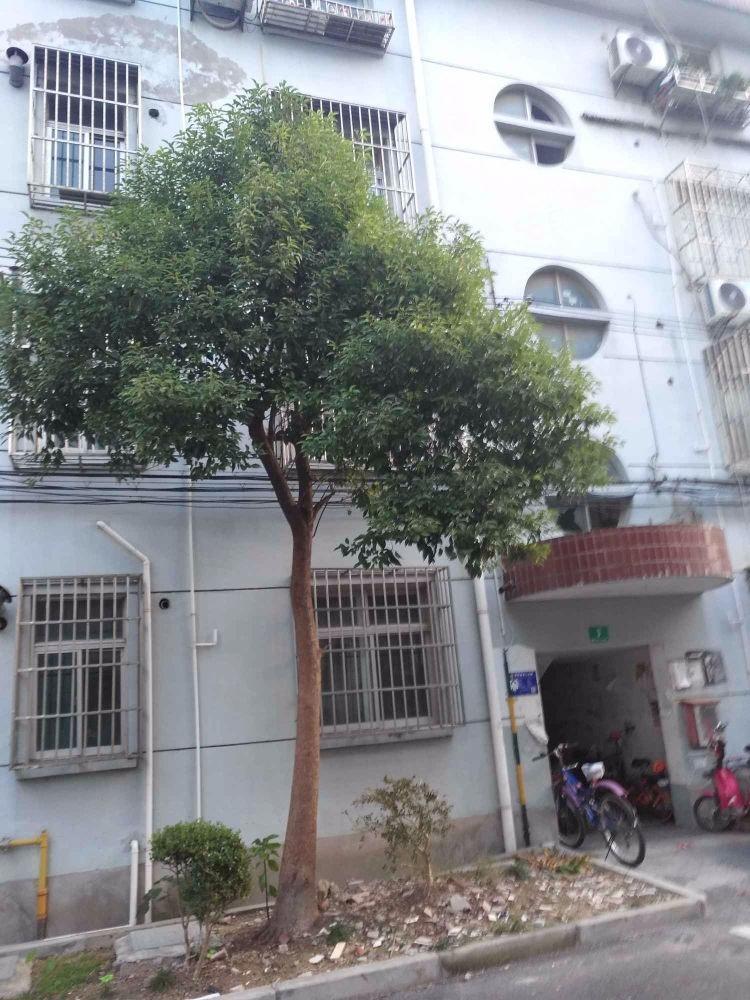 上海曙光路25弄小区二手房房源图片