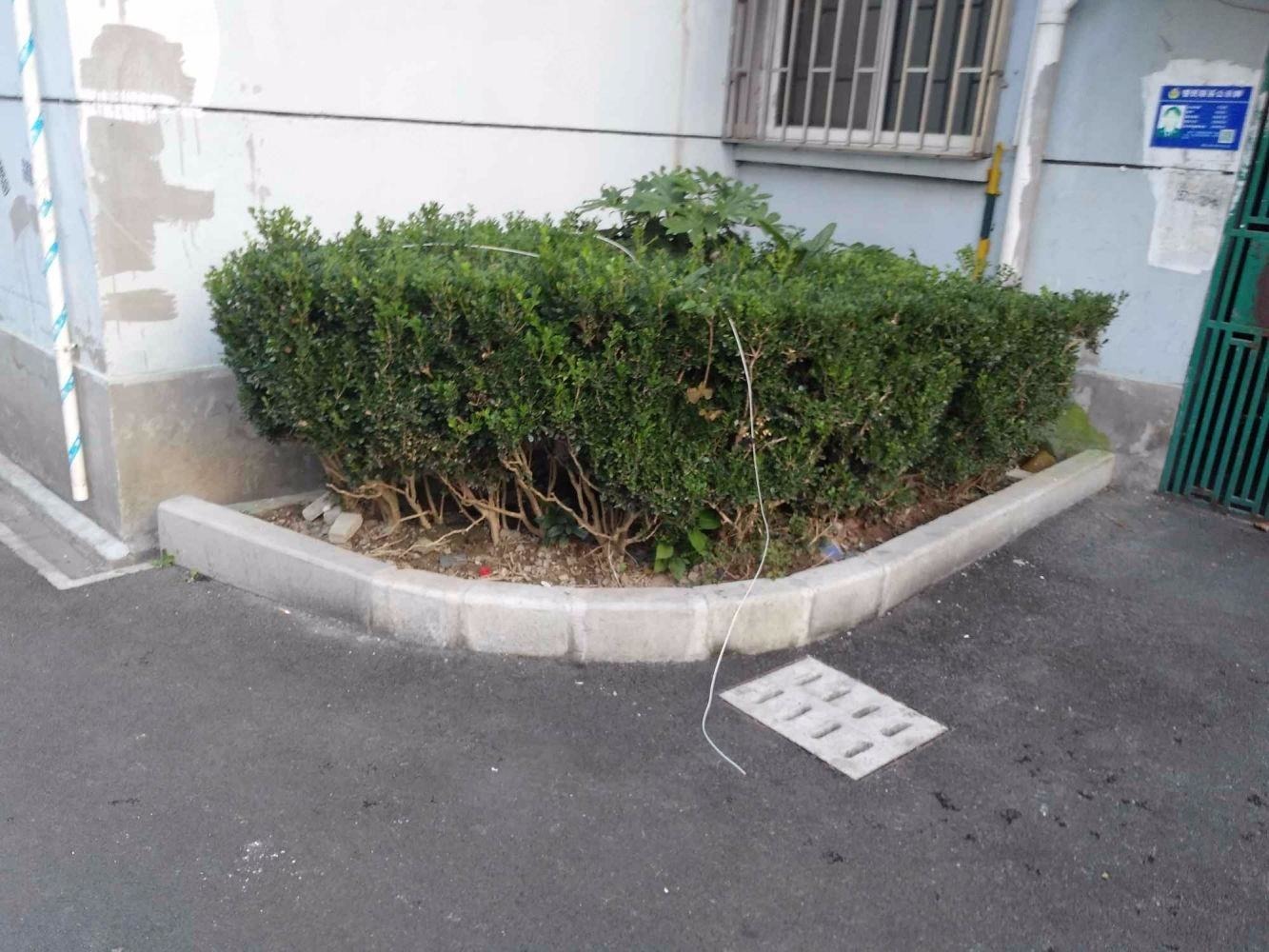 上海曙光路25弄小区二手房房源图片