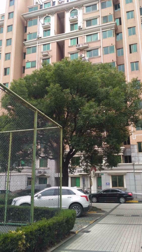 上海世纪苑二手房房源图片