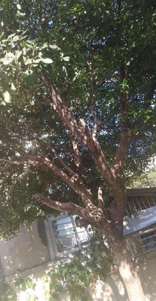 上海梅陇二村二手房房源图片