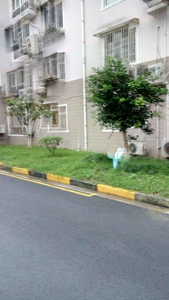 上海朱梅小区二手房房源图片
