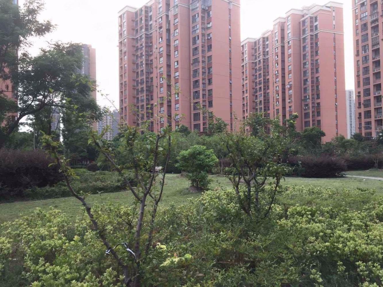 上海星金家园二手房房源图片
