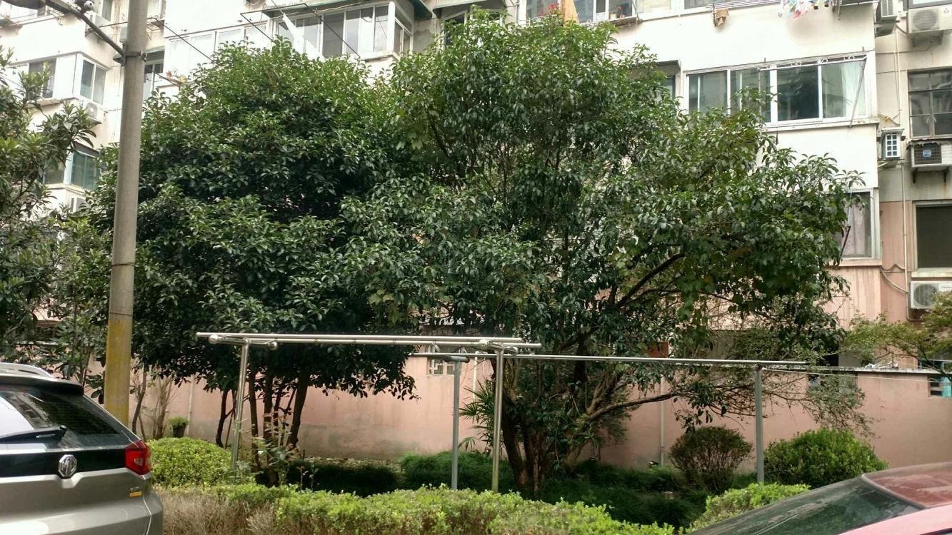 上海上陇新村(西区)二手房房源图片