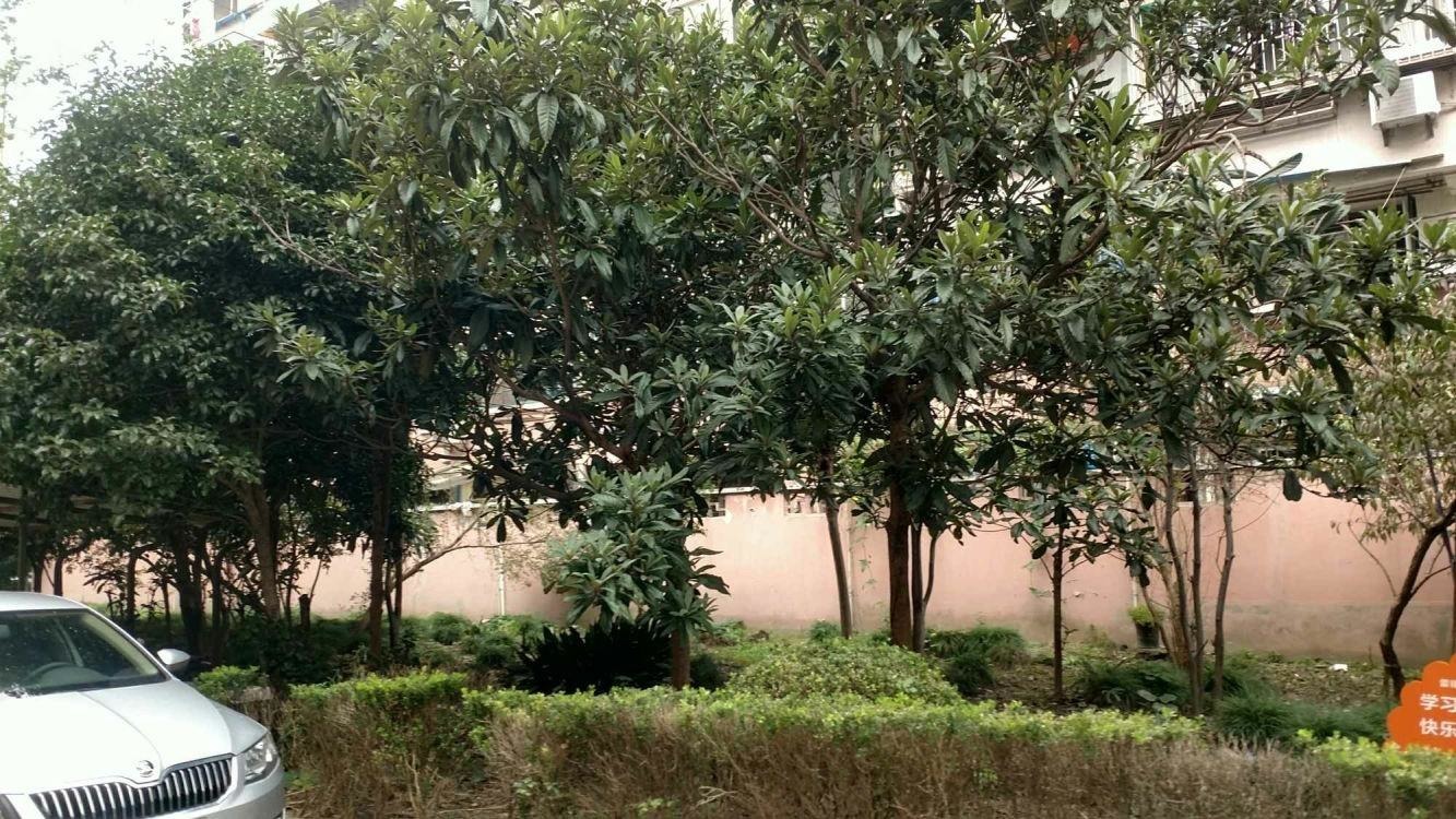 上海上陇新村(西区)二手房房源图片