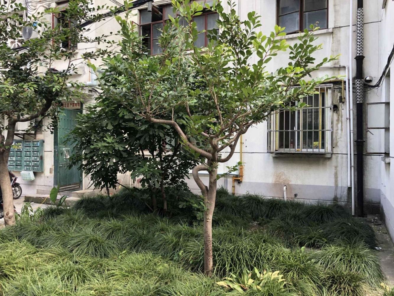 上海李园二村(北区)二手房房源图片