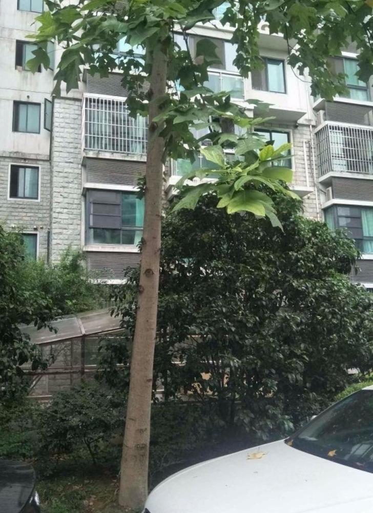 上海北方佳苑二手房房源图片