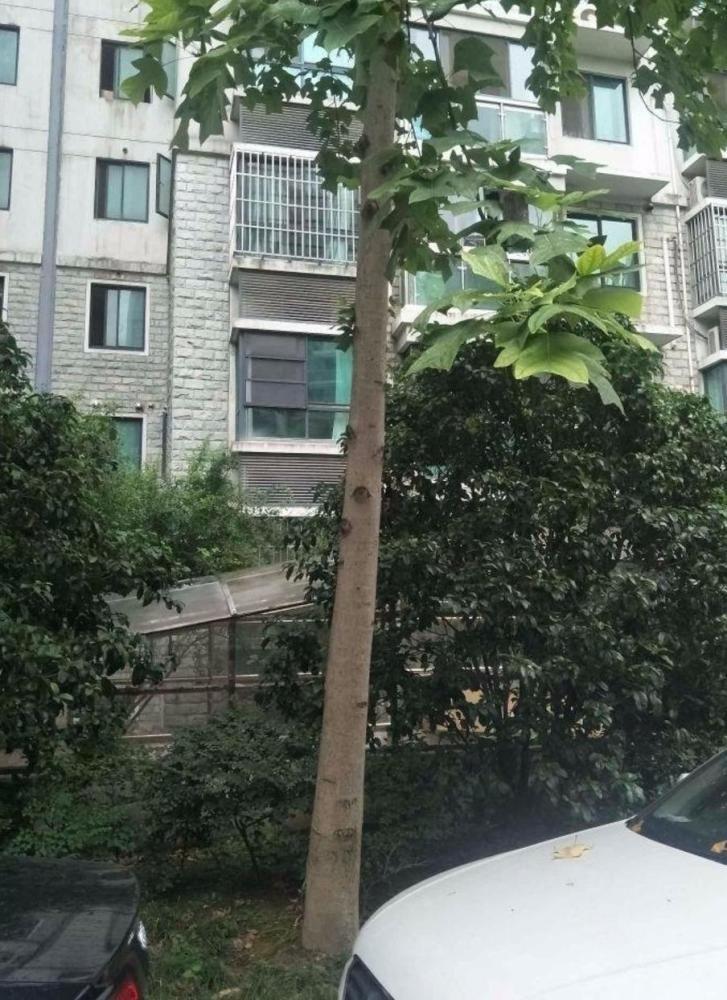 上海北方佳苑二手房房源图片