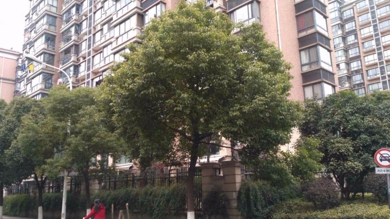 上海莲花河畔景苑二手房房源图片