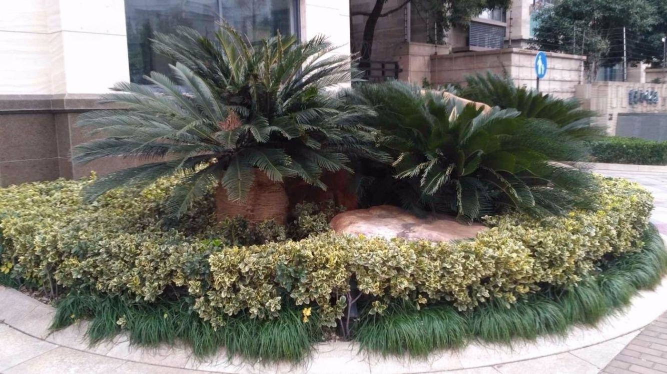上海莲花河畔景苑二手房房源图片