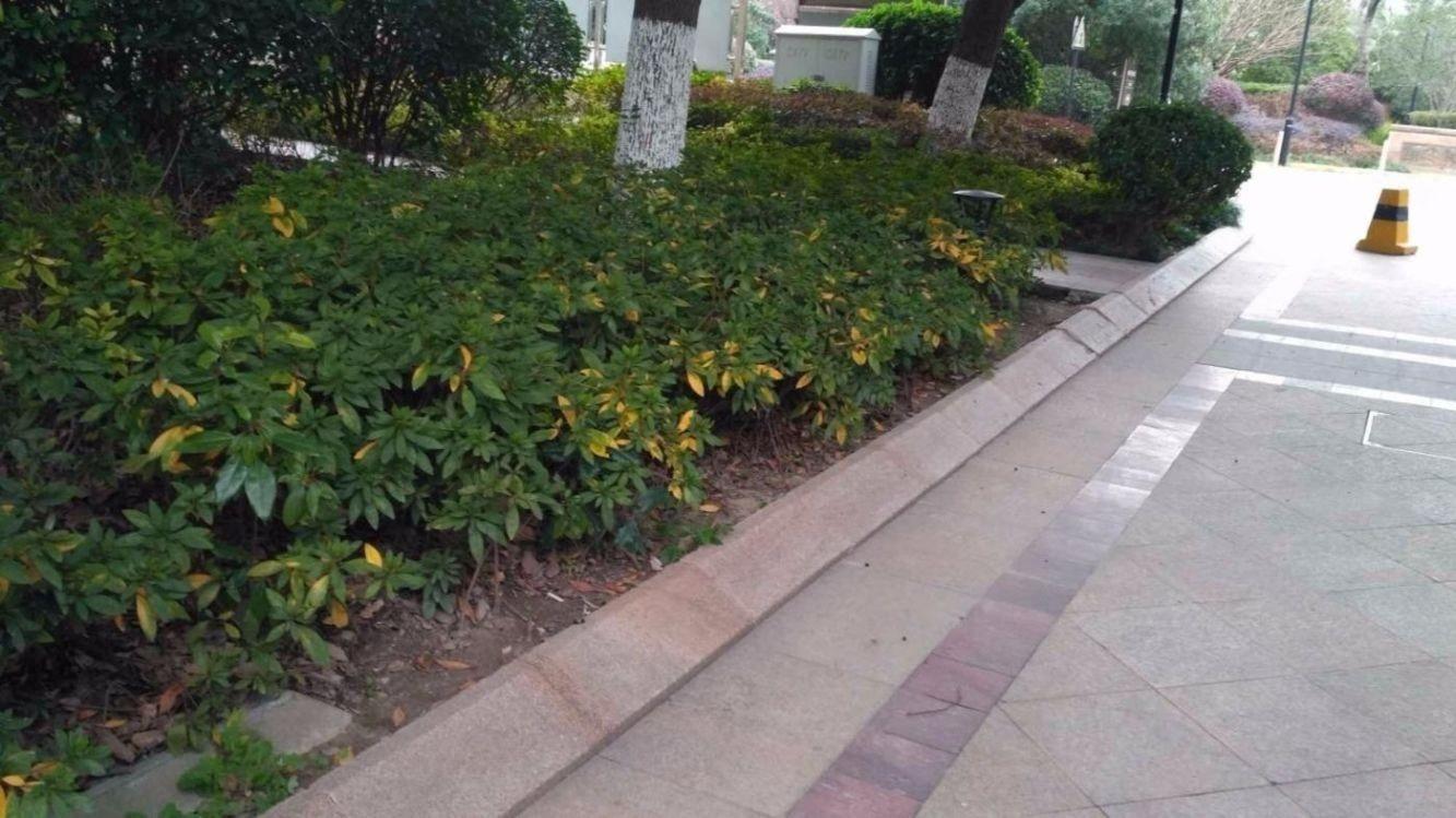 上海莲花河畔景苑二手房房源图片
