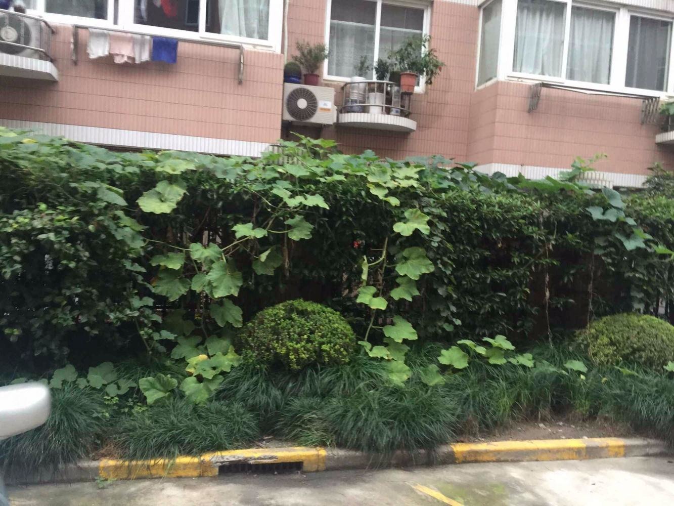 上海长宁路1488弄小区二手房房源图片