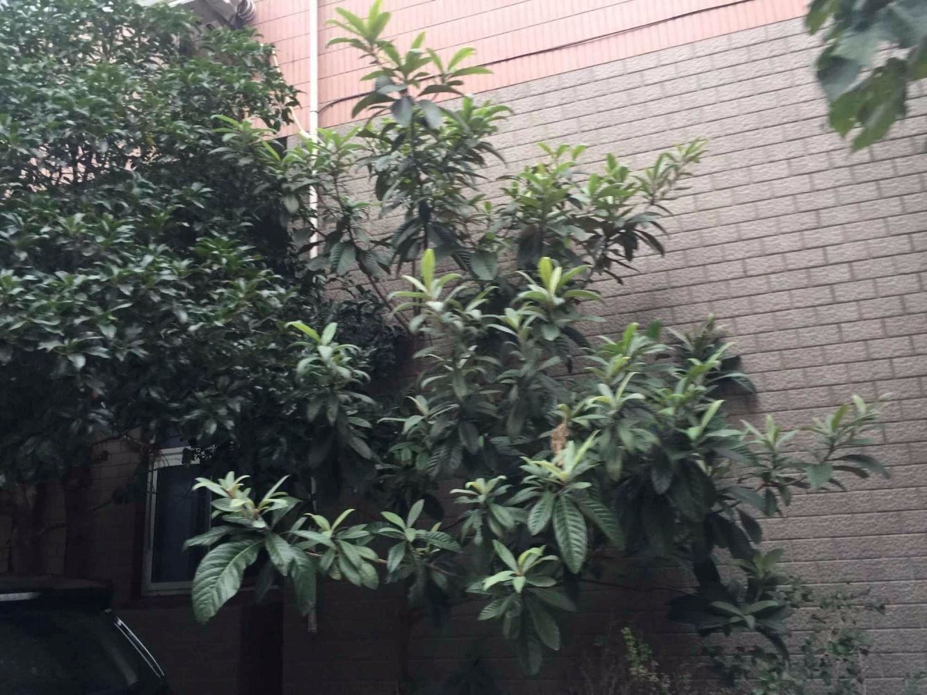 上海长宁路1488弄小区二手房房源图片
