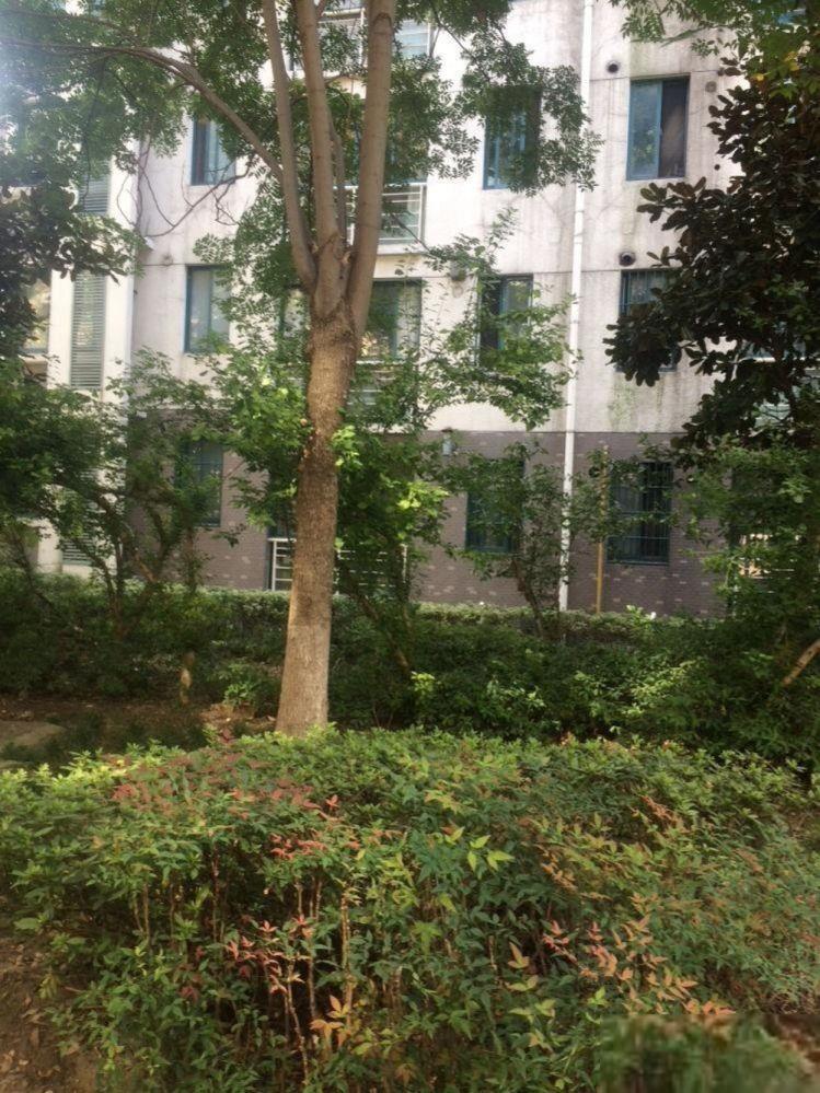 上海新城枫景二手房房源图片
