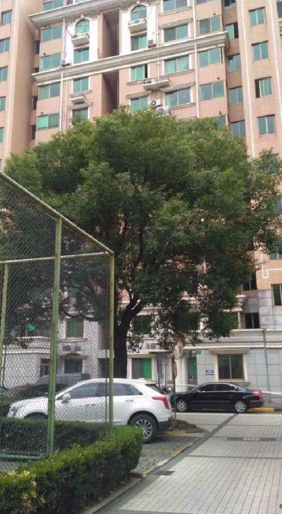 上海世纪苑二手房房源图片