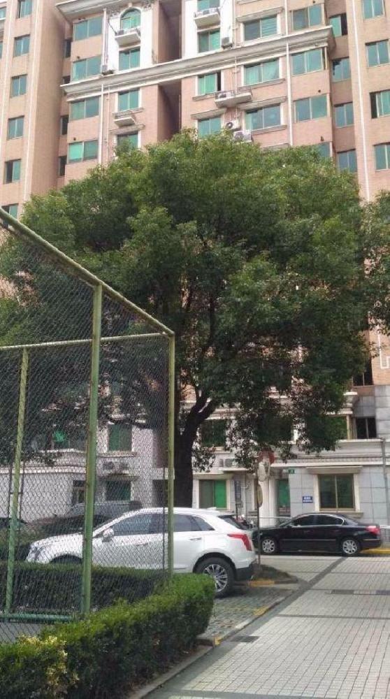 上海世纪苑二手房房源图片
