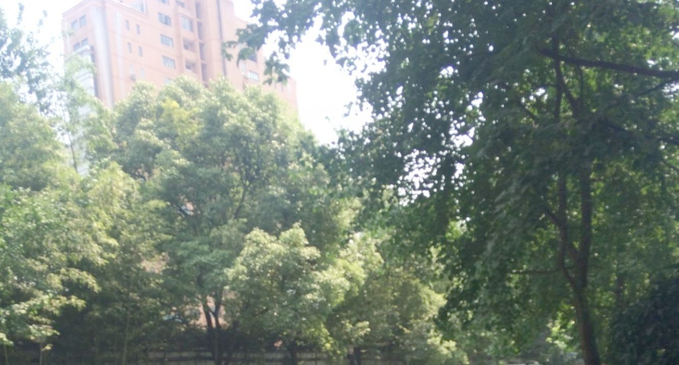 上海太原邸二手房房源图片