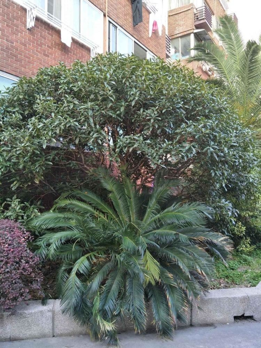 上海振兴大楼二手房房源图片