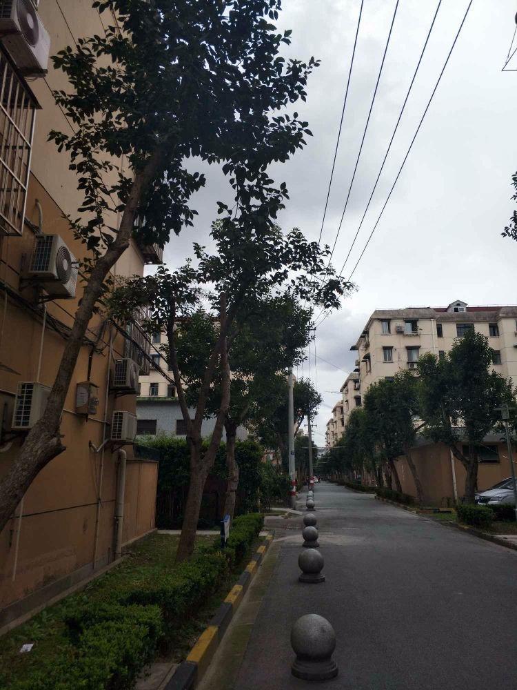 上海临汾路1564弄小区二手房房源图片