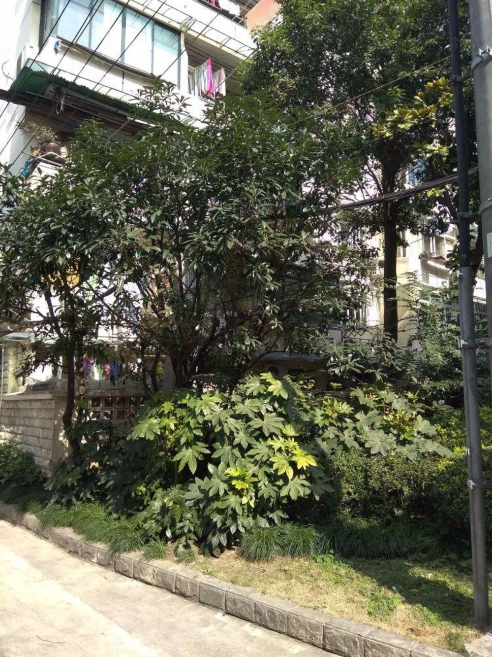 上海宁波小区二手房房源图片