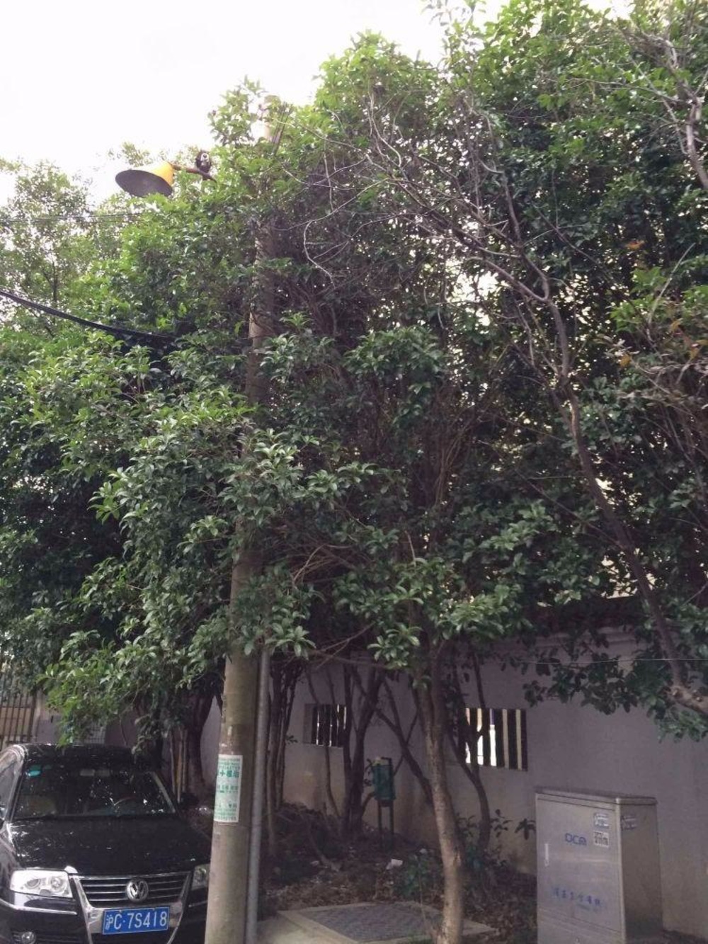上海乔家浜路21弄小区二手房房源图片