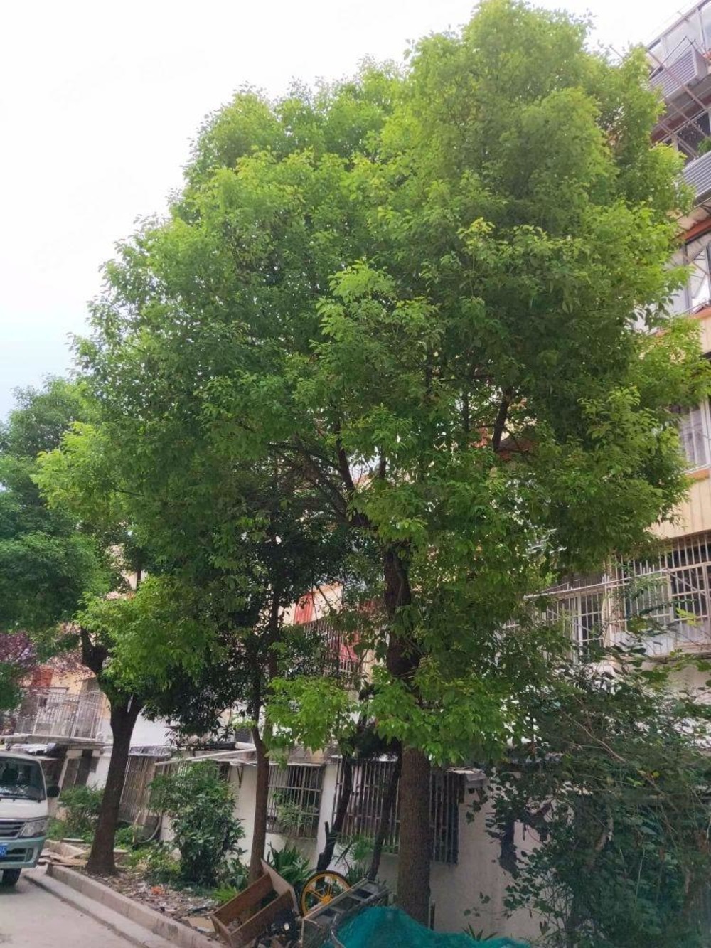 上海梅园新村(浦东)二手房房源图片