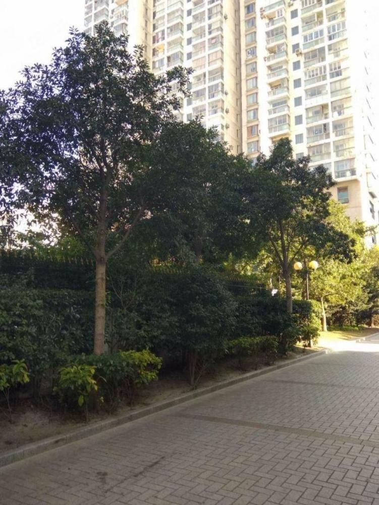 上海金色家园二手房房源图片