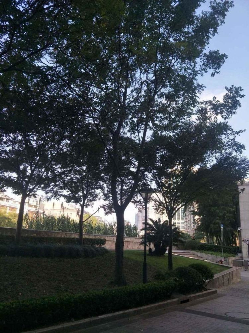 上海新闸路272-280号小区二手房房源图片