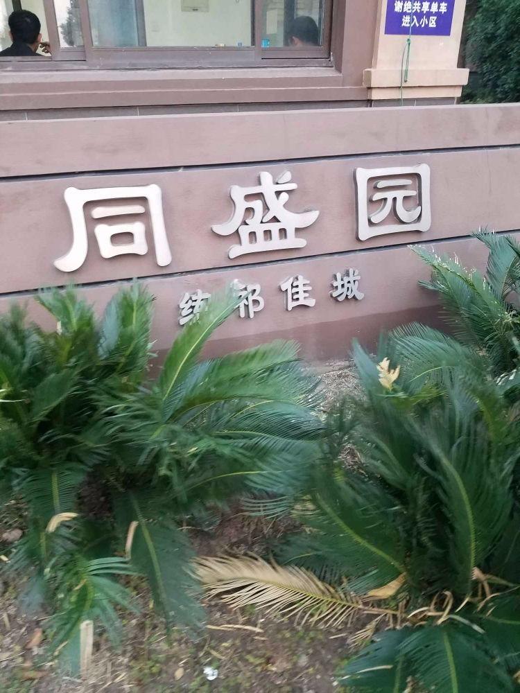 上海同盛园练祁佳城二手房房源图片