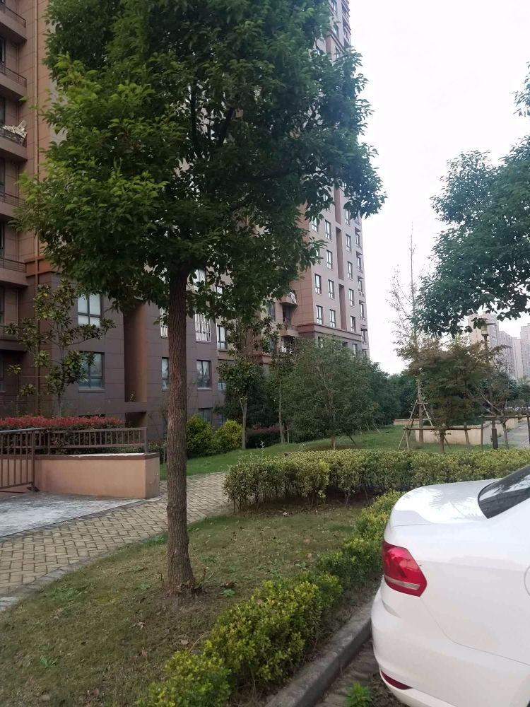 上海同盛园练祁佳城二手房房源图片