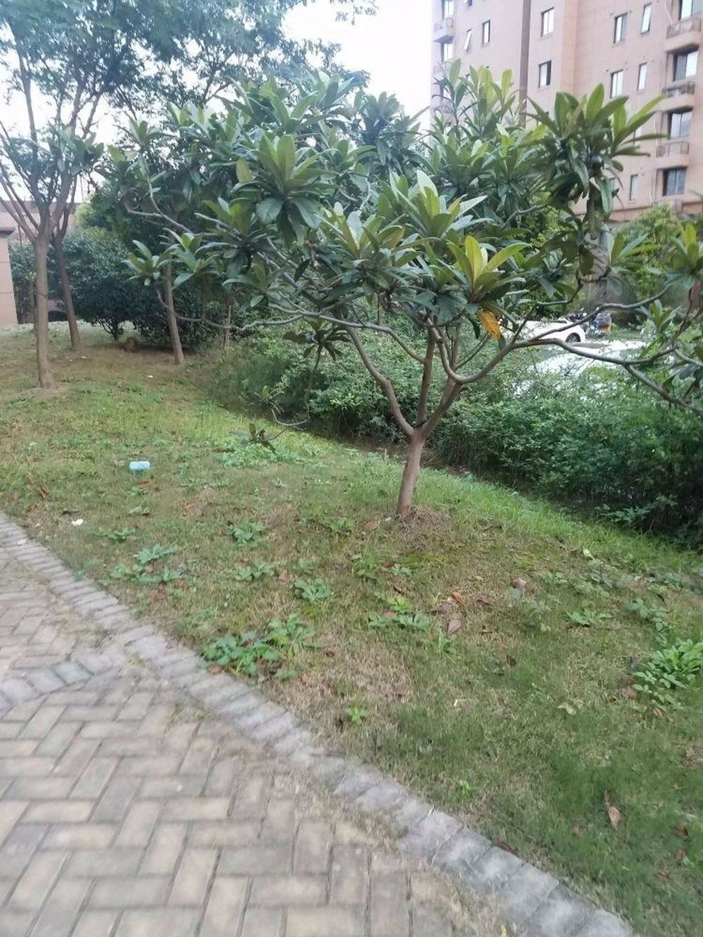 上海同盛园练祁佳城二手房房源图片