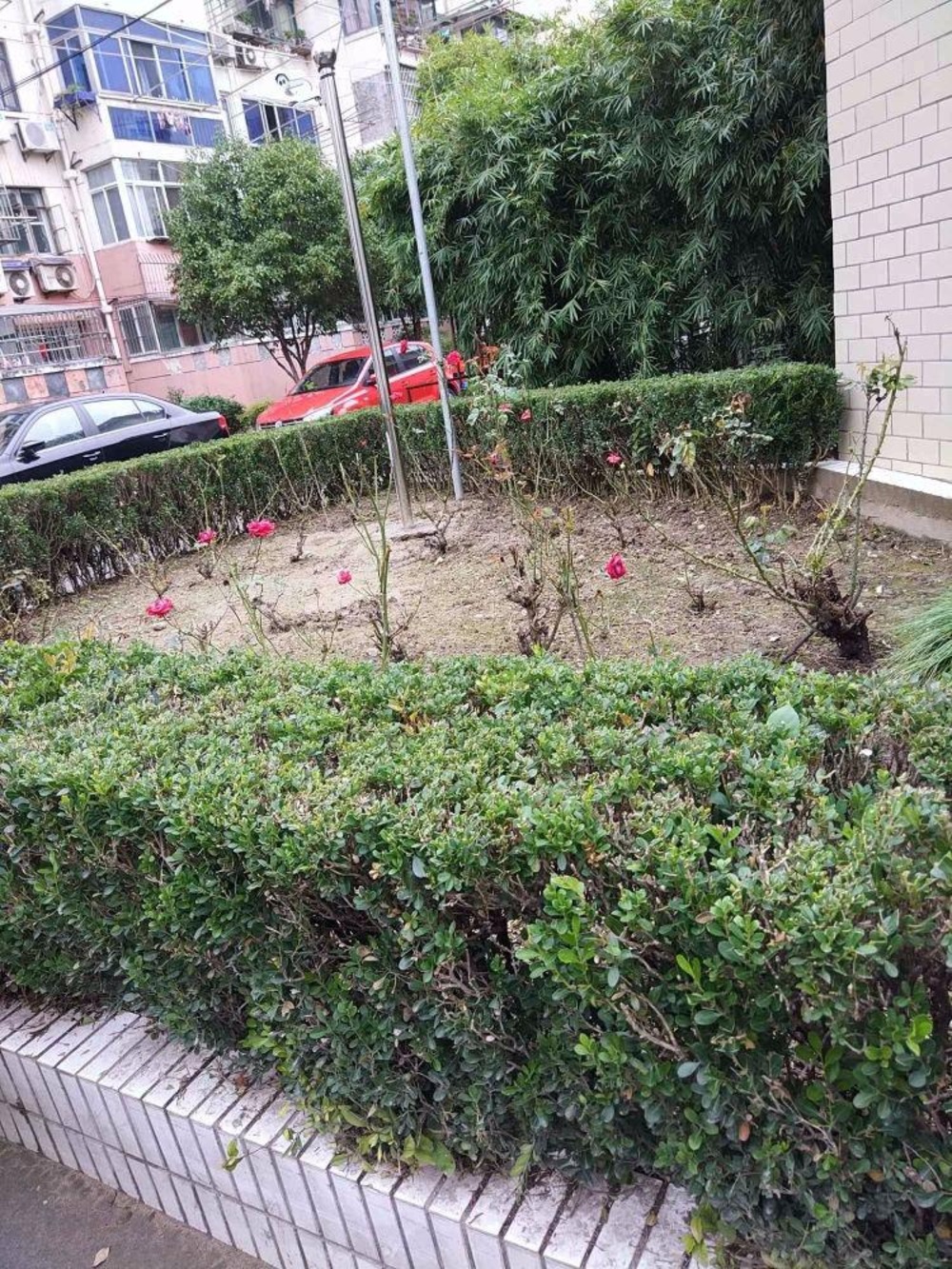上海茶花园二手房房源图片