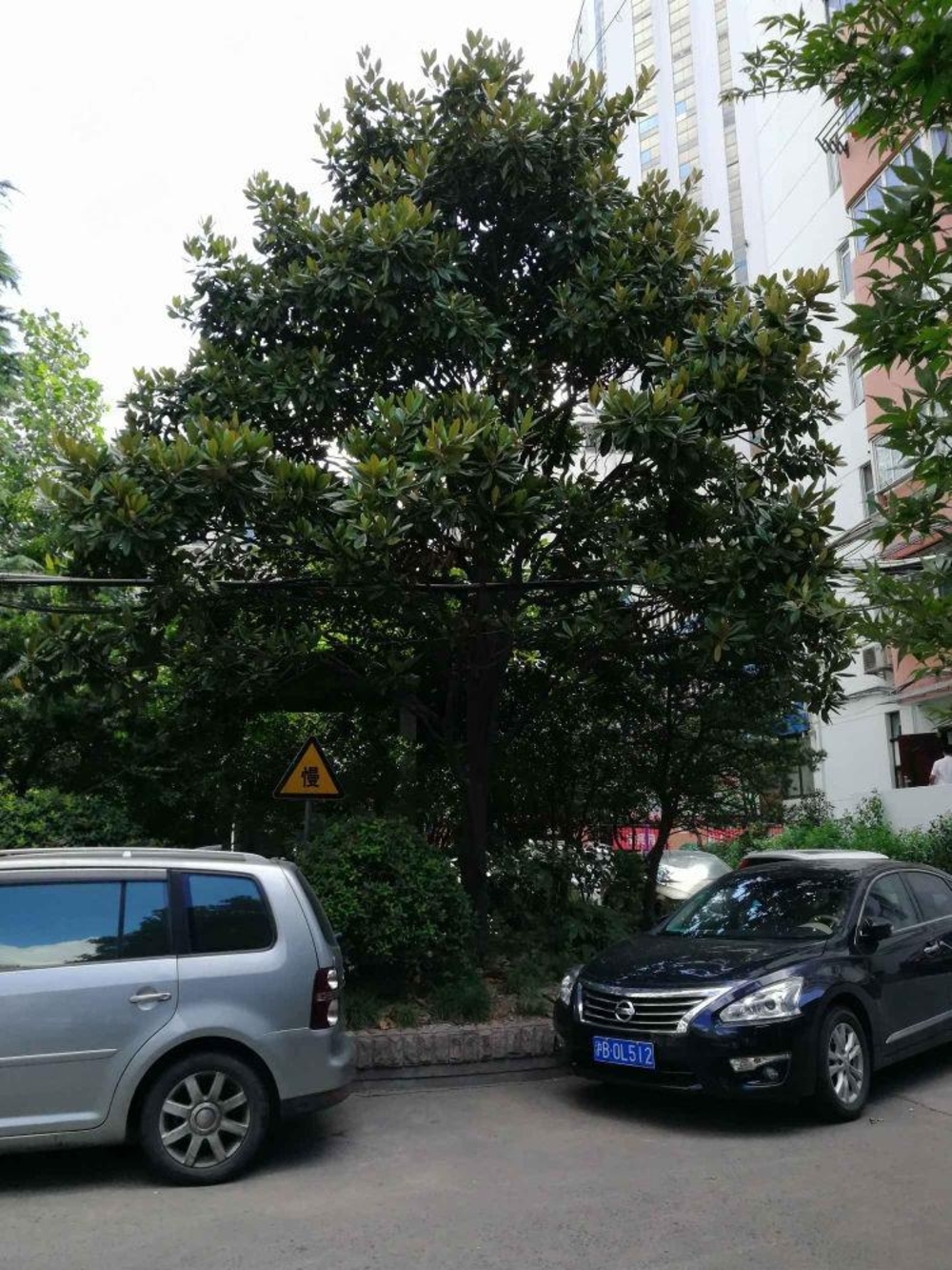 上海瑞福北大楼二手房房源图片