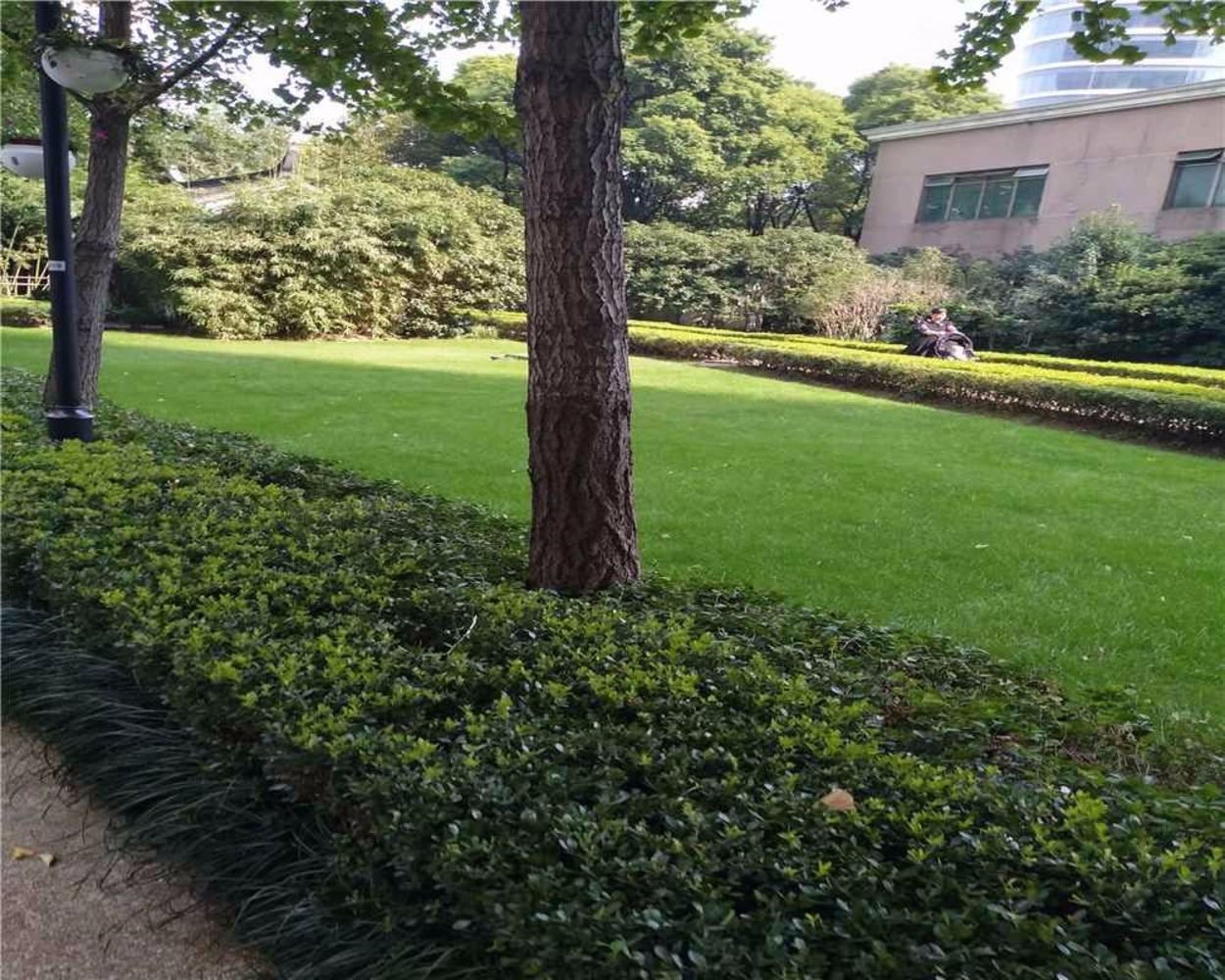 上海世茂滨江花园(北区)二手房房源图片