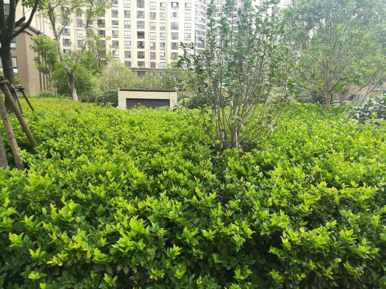 上海信达蓝爵二手房房源图片