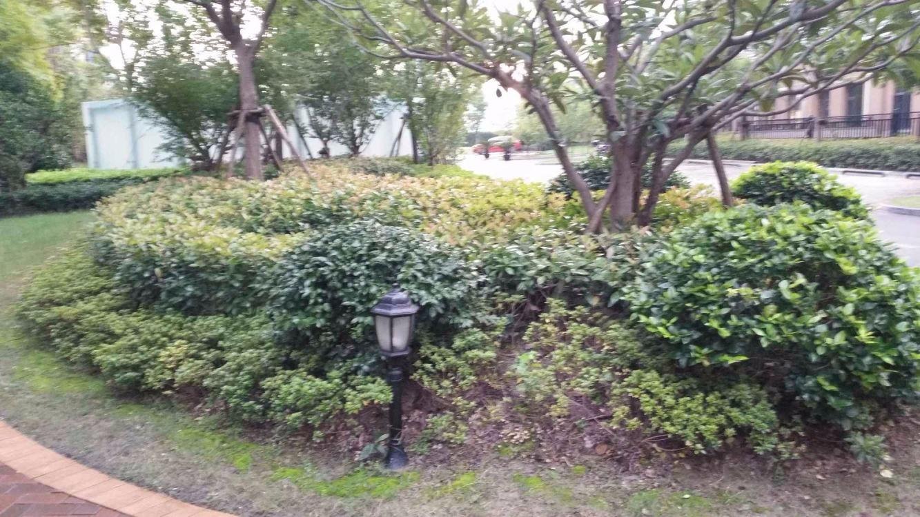 上海尚汇豪庭二手房房源图片