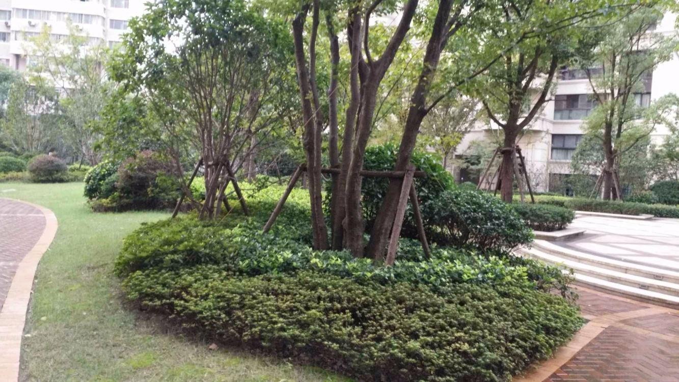 上海尚汇豪庭二手房房源图片